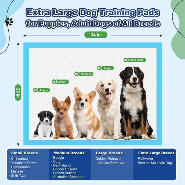 Alt view image 3 of 7 - Puppy Pads XL 100 Count, Dog Pee Pads Extra Large, 34"x28" Pee Pads for Dogs, X-Large Disposable Dog Training Pads Super Absorbent&Leak-Proof, Crate Potty Piddle Pads for Doggy, Pet Supplies