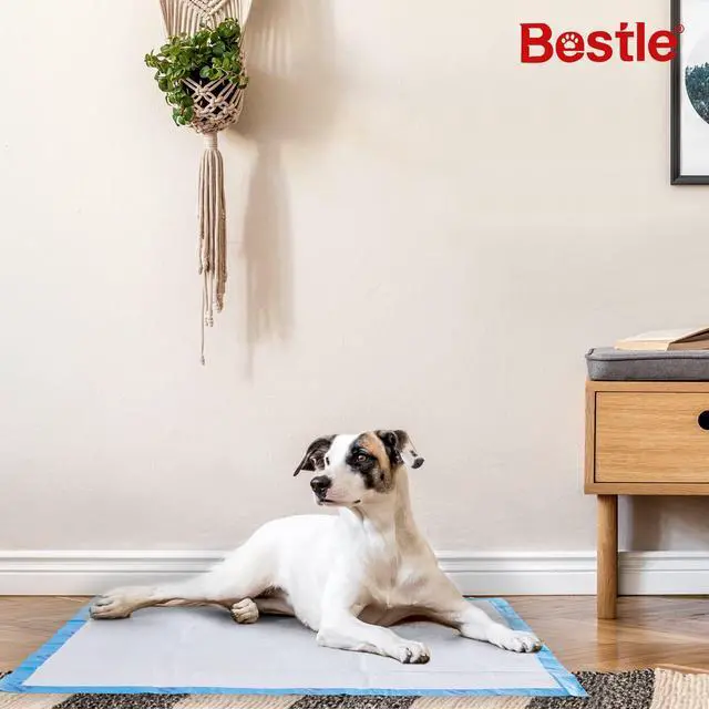 Alt view image 3 of 7 - Extra Large Pet Training and Puppy Pads Pee Pads for Dogs 28"x34" -40 Count Super Absorbent & Leak-Proof