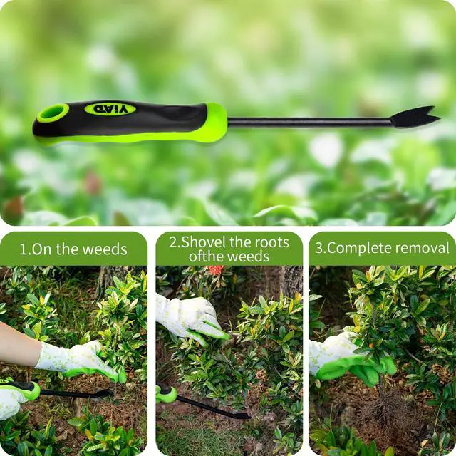 Alt view image 6 of 7 - Hand Weeder Weed Puller Tool - 13-Inch Heavy Duty Dual Tip Design for Root Removal, Rust-Resistant Steel, Ergonomic Grip, for Garden Lawn Yard Patio Flower Bed
