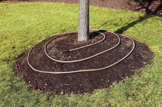 Alt view image 4 of 5 - 65159AMZ 50' Soaker Hose, Black/Green