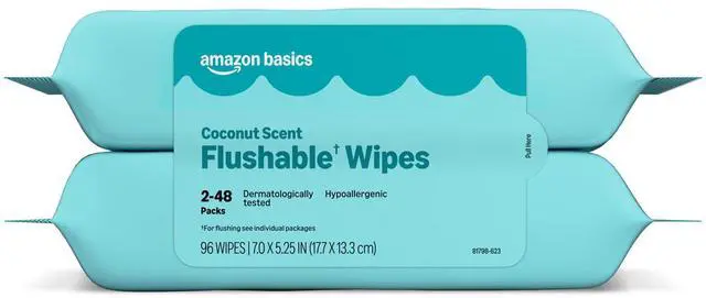 Main image of Flushable Wipes, Coconut Scent, Hypoallergenic, Dermatologically Tested, 2 Packs of 48 (96 Count)