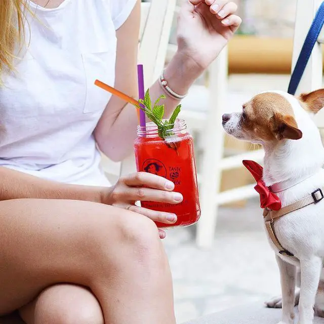 Alt view image 3 of 7 - Reusable Silicone Straws, Long Flexible Silicone Drinking Straws with Cleaning Brushes for 30 oz Tumblers - 10 Pieces - BPA-Free - No Rubber Taste