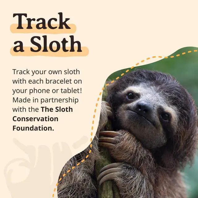 Alt view image 6 of 7 - Sloth Tracking Bracelet, Elastic, supports Sloth Conservation Foundation, one size fits most for Men and Women (Keystone)