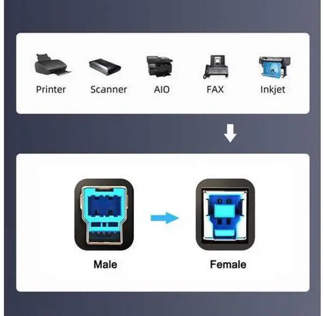 Alt view image 7 of 7 - USB-C USB 3.1 Type-C Male Connector to USB Standard B Male Data Cable for Mac Laptop Black