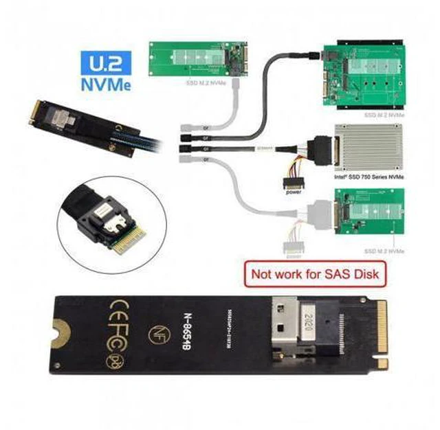 Alt view image 7 of 7 - NGFF M-Key NVME to SFF-8654 Slimline SAS Card Adapter and U.2 U2 SFF-8639 NVME PCIe SSD Cable for Mainboard SSD