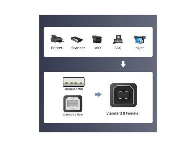 Alt view image 5 of 6 - 2pcs/lot USB 2.0 B Type Female to Type-A & Type-B Male Extension Adapter for Printer Scanner Disk