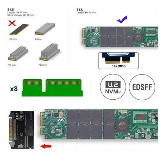 Alt view image 4 of 7 - U.2 SFF-8639 Host Adapter to NVMe Ruler 1U GEN-Z EDSFF 2C 8X Short SSD PM983 E1.L Carrier Adapter