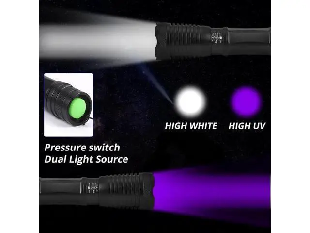Alt view image 5 of 5 - 2 in 1 UV Flashlight LED Linternas Torch 395nm Ultraviolet Urine Detector Light for camping Carpet Pet Urine Catch Scorpions
