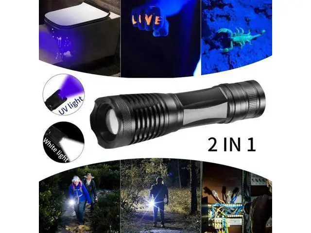 Alt view image 2 of 5 - 2 in 1 UV Flashlight LED Linternas Torch 395nm Ultraviolet Urine Detector Light for camping Carpet Pet Urine Catch Scorpions