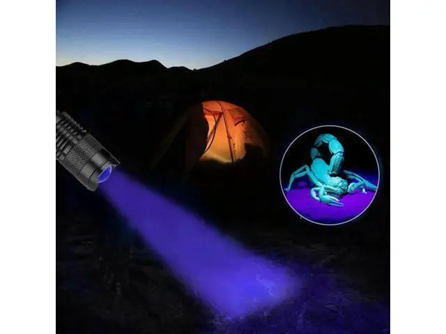 Alt view image 2 of 5 - Mini Linterna UV Flashlight Torch Ultraviolet LED Flashlight Lantern for Pets Urine and Stains Detector Find Scorpions