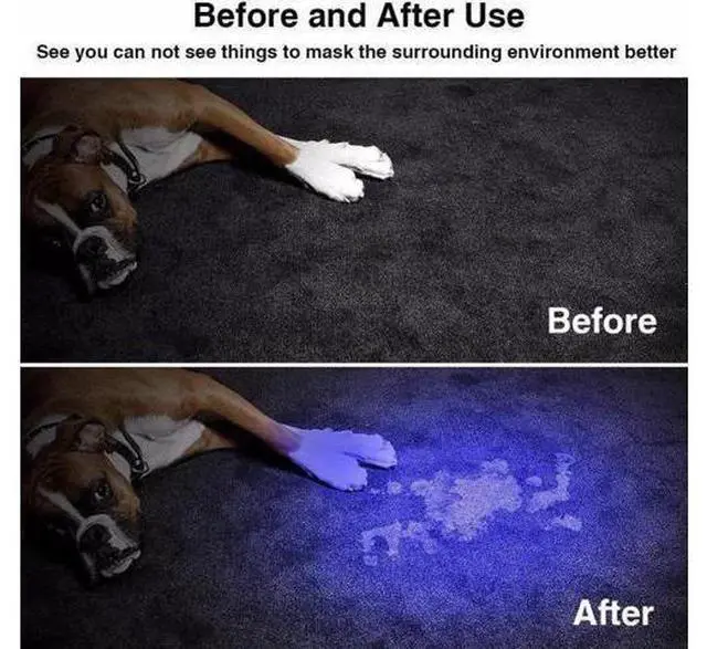 Alt view image 5 of 5 - Flashlight 365nm/395nm Ultra Violet Light Zoomable light Torch Lamp For Marker Checker Detection Using AA/14500 battery