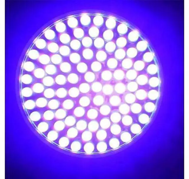 Alt view image 5 of 5 - 395nM 7W Powerful UV Flashlight 100 UV LED Black Light Torch Ultraviolet Lantern For pet urine testing