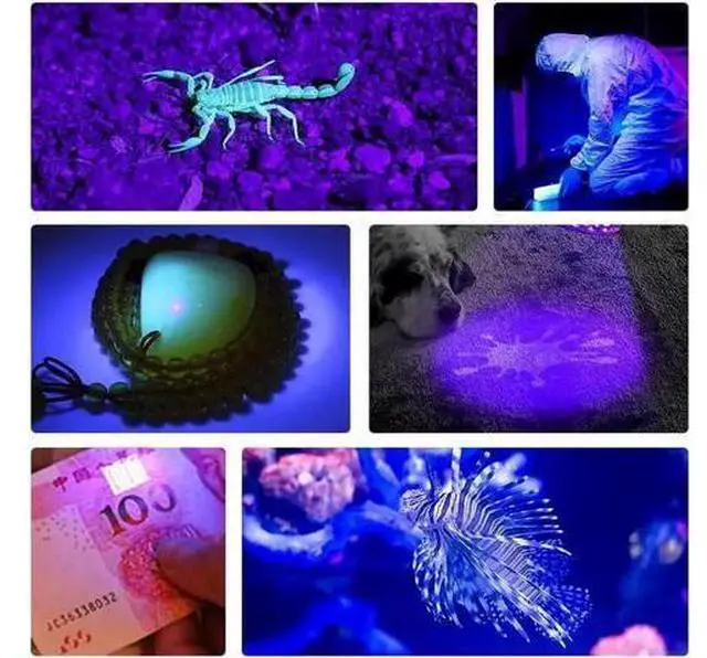 Alt view image 5 of 5 - UV Led Flashlight 365nm Scorpion Ultraviolet Light Lanterna for Money Detector Pet Stains Hunting Marker Checker torch 18650