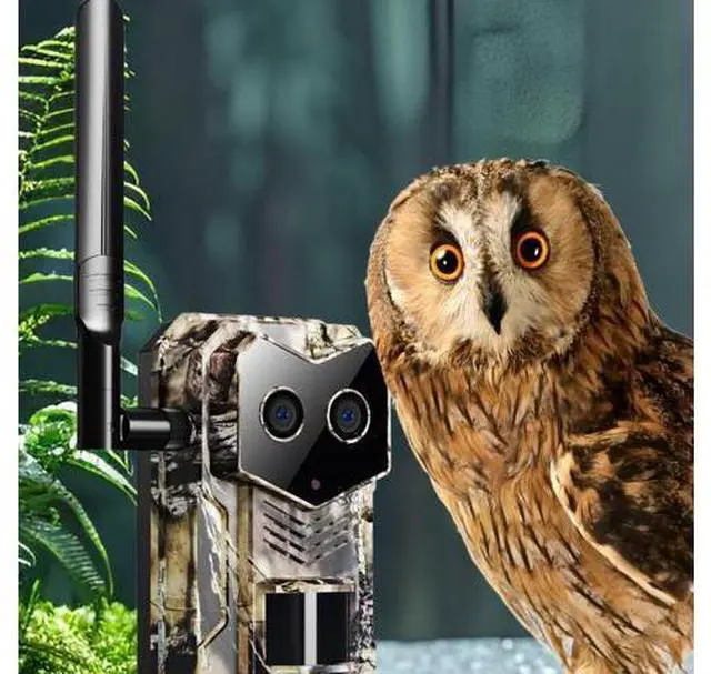 Main image of Hunting camera outdoor surveillance of orchard hunting camera animals woods hunting fishpond night vision tracking sensor camera