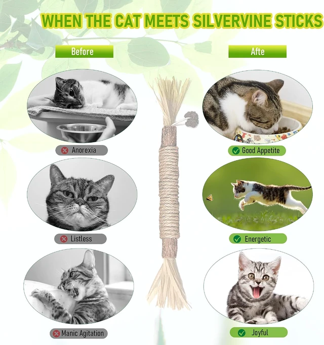 Alt view image 3 of 7 - Silvervine Sticks Cat Chew Toys for Indoor Cats Dental Care Teeth Cleaning, Natural Kitten & Cat Teething Toys for Health, Cat Chew Stick Treat Edible Suitable for All Breeds of Aggressive Chewers Cat