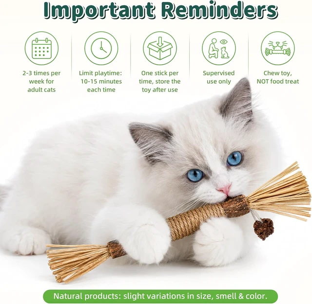Alt view image 5 of 7 - Silvervine Sticks Cat Chew Toys for Indoor Cats Dental Care Teeth Cleaning, Natural Kitten & Cat Teething Toys for Health, Cat Chew Stick Treat Edible Suitable for All Breeds of Aggressive Chewers Cat