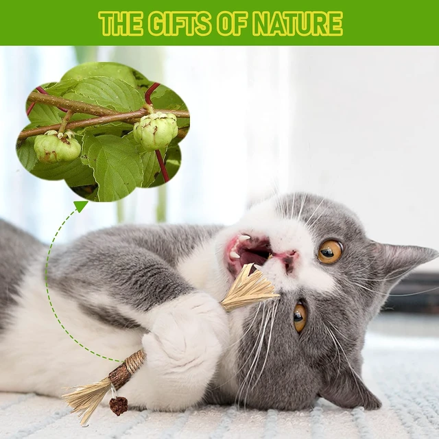 Alt view image 2 of 7 - Silvervine Sticks Cat Chew Toys for Indoor Cats Dental Care Teeth Cleaning, Natural Kitten & Cat Teething Toys for Health, Cat Chew Stick Treat Edible Suitable for All Breeds of Aggressive Chewers Cat