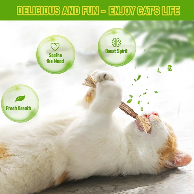 Alt view image 4 of 7 - Silvervine Sticks Cat Chew Toys for Indoor Cats Dental Care Teeth Cleaning, Natural Kitten & Cat Teething Toys for Health, Cat Chew Stick Treat Edible Suitable for All Breeds of Aggressive Chewers Cat