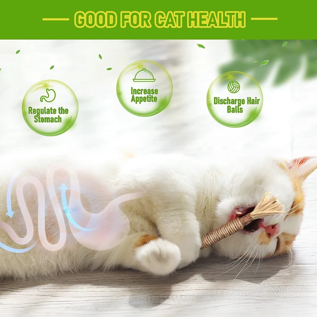 Alt view image 7 of 7 - Silvervine Sticks Cat Chew Toys for Indoor Cats Dental Care Teeth Cleaning, Natural Kitten & Cat Teething Toys for Health, Cat Chew Stick Treat Edible Suitable for All Breeds of Aggressive Chewers Cat