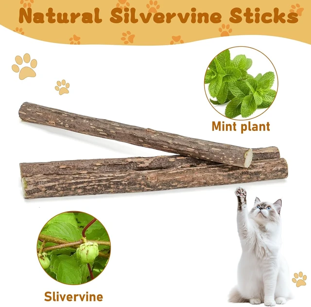 Alt view image 2 of 7 - WoLover 10 PCS Silvervine Sticks for Cat, Natural Matatabi Chew Toys,Catnip Sticks Molar Chew Toys for Cat, Kitten and Kitty Cleaning Teeth Dental Care