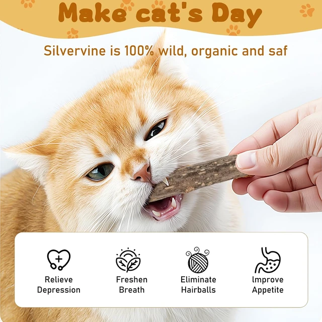 Alt view image 6 of 7 - WoLover 10 PCS Silvervine Sticks for Cat, Natural Matatabi Chew Toys,Catnip Sticks Molar Chew Toys for Cat, Kitten and Kitty Cleaning Teeth Dental Care