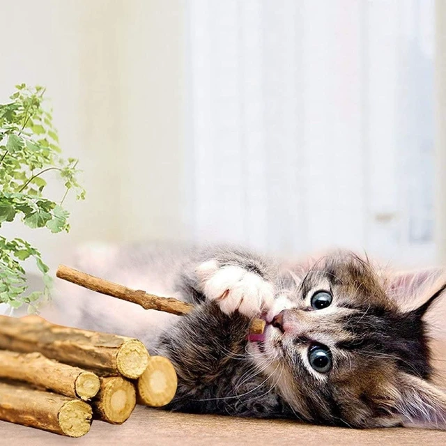 Alt view image 3 of 7 - WoLover 10 PCS Silvervine Sticks for Cat, Natural Matatabi Chew Toys,Catnip Sticks Molar Chew Toys for Cat, Kitten and Kitty Cleaning Teeth Dental Care