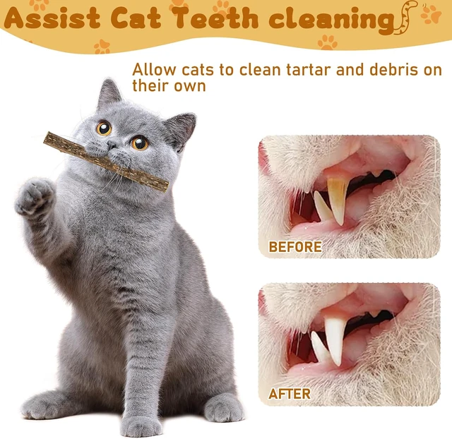 Alt view image 4 of 7 - WoLover 10 PCS Silvervine Sticks for Cat, Natural Matatabi Chew Toys,Catnip Sticks Molar Chew Toys for Cat, Kitten and Kitty Cleaning Teeth Dental Care