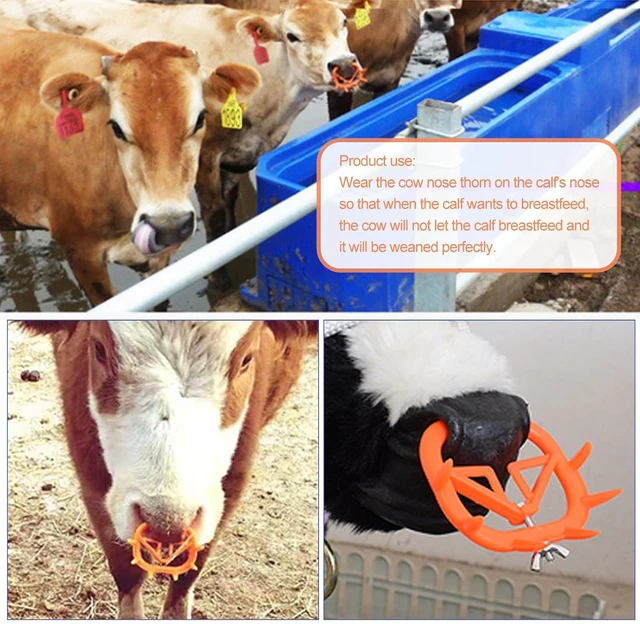 Alt view image 6 of 6 - 5PCS Cow Nose Ring Farm Livestock Animal Weaner Red Plastic Calf Weaning Nose Rings Spiked Preventing Milk Suckling Farm Livestock Equipment