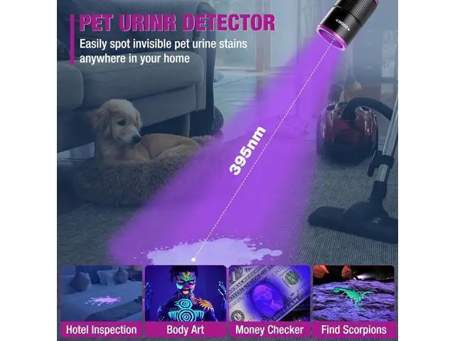 Alt view image 6 of 7 - EverBrite Rechargeable Pen Flashlight with UV Light and White Light, 395nm Black Flashlight with Clip, Zoomable 4 Modes with Memory Function, USB C Cable, for Camping, Emergency, Pet Urine Detection
