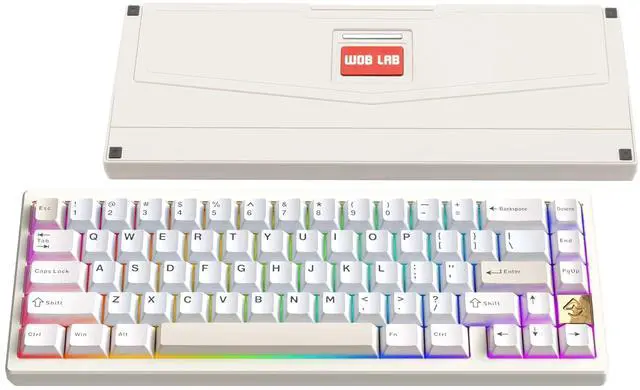Main image of WOBKEY Zen 65 65% Quick Release Wireless Mechanical Keyboard with RGB, CNC Aluminum Case, Hot-Swappable, VIA Support, BT/2.4G/USB-C Gaming Keyboard for Mac/Windows (Ultra White Gold)