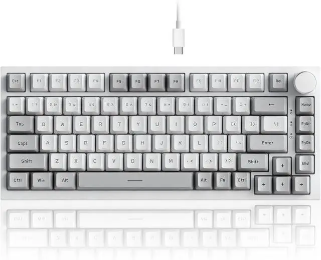 Main image of AK820 Wired 75% Mechanical Keyboard, HP-Style Tactile, Hot-Swappable | 81key PBT keycaps, White Backlit 20 modes, Metal Volume Knob, USB-C, Gasket Mount, 5-layer Foam, Dual Drivers Options, PC/Mac