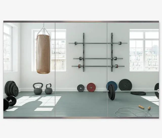 Main image of Honyee Home Gym Mirror, 48" x 24" x 3PCS, Wall Mounted Frameless Mirror with Polished Edge, Tempered Glass Mirror, Large Workout Mirror for Home Gym/Yoga Room/Dancing Room and More (48" x 24", 3PCS)