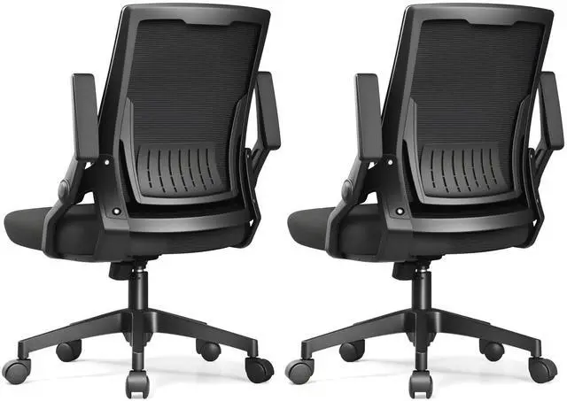 Main image of Ergonomic Office Chair with Flip-up Armrests Executive Computer Chair for Home Office, Breathable Mesh & Comfy Lumbar Support, Pack of 2, Black
