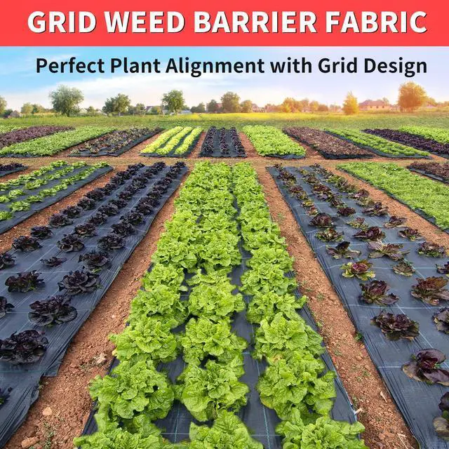 Alt view image 2 of 7 - 6ft x 300ft Landscape Fabric -Heavy Duty Weed Barrier Fabric for Landscaping, Weed Blocker Cloth,Geotextile Fabric for Garden, Driveway & Ground Cover, Garden Weed Mats,Grid Design