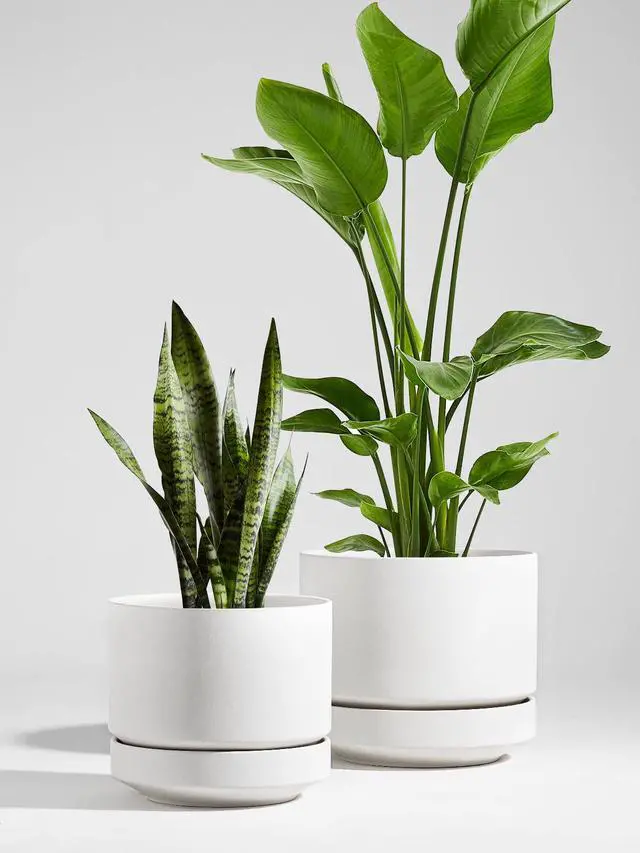 Alt view image 2 of 6 - 12 Inch Pots for Plants with Saucer | Ceramic Outdoor & Indoor Planter Pot for Plants | Drainage Hole, Mesh Pad | Unglazed Porous | Modern for Home, Office and Patio Chalk White