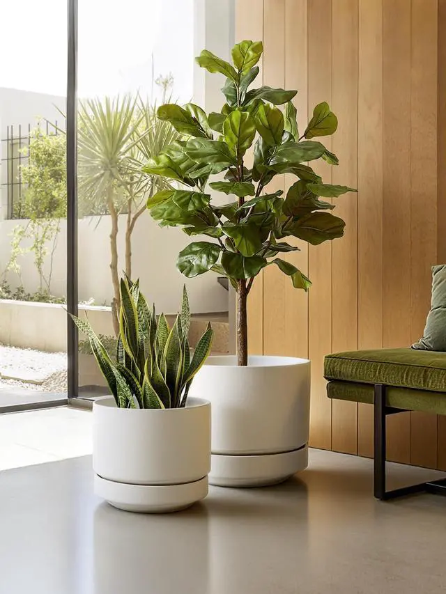 Alt view image 5 of 6 - 12 Inch Pots for Plants with Saucer | Ceramic Outdoor & Indoor Planter Pot for Plants | Drainage Hole, Mesh Pad | Unglazed Porous | Modern for Home, Office and Patio Chalk White