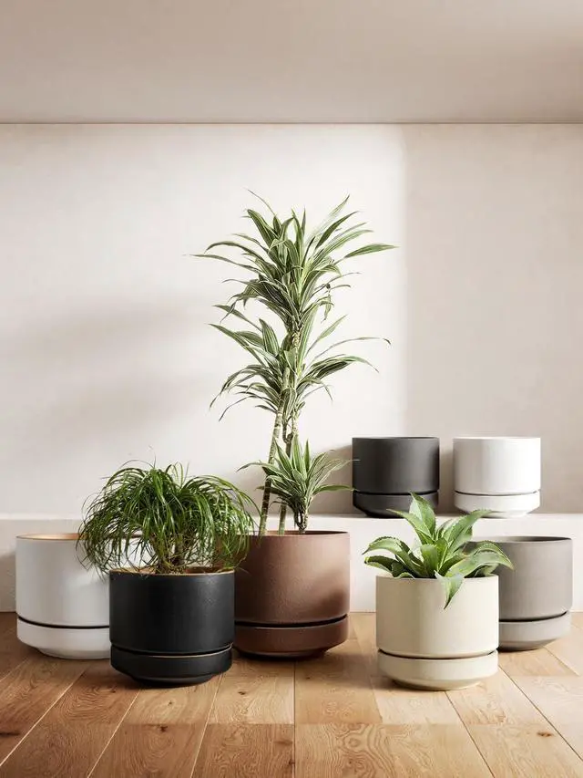Alt view image 6 of 6 - 12 Inch Pots for Plants with Saucer | Ceramic Outdoor & Indoor Planter Pot for Plants | Drainage Hole, Mesh Pad | Unglazed Porous | Modern for Home, Office and Patio Chalk White