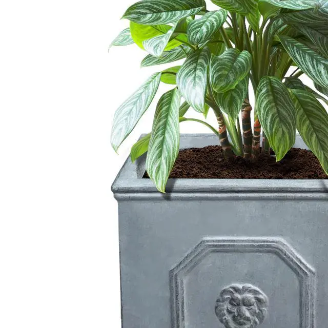 Alt view image 3 of 7 - Square Lion Head Concrete Planter Set of 2, Classic English Style Plant Pot with Drainage Hole and Rubber Plug for Indoor Outdoor, 10.2"x10.2"x10.2" and 12.6"x12.6"x12.6" Antique Gray