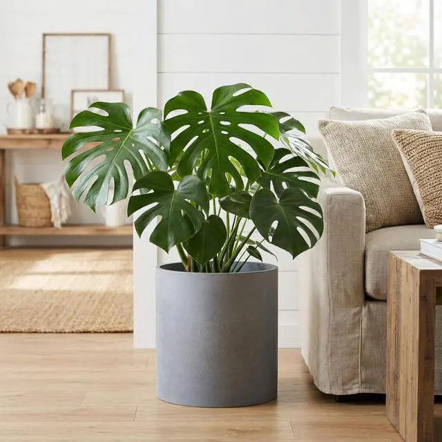 Alt view image 7 of 7 - 14 Inch Fiberstone Planter - Lightweight Modern Cylinder Plant Pot with Drainage Hole & Plug, Authentic Concrete Look, Gray