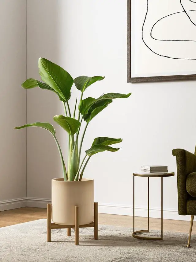 Alt view image 2 of 6 - 10+8+6 Inch Ceramic Pots for Plants, Indoor Planters with Drainage Hole and Plug, Modern Cylinder Flower Pots Set of 3 for Living Room and Bedroom, Glossy, Sand Beige