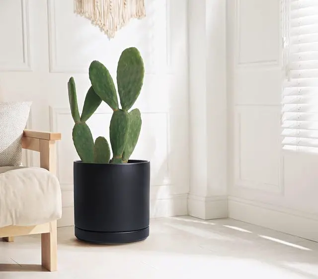 Alt view image 7 of 7 - 12 Inch Ceramic Planter Pot with Drainage Hole and Saucer, Indoor Cylinder Round Planter Pot, Black, 94-O-F-2