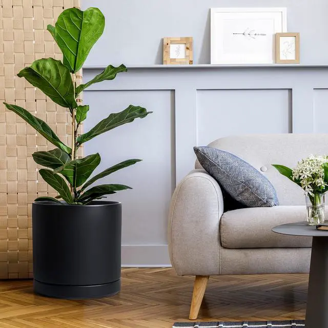 Alt view image 5 of 7 - 12 Inch Ceramic Planter Pot with Drainage Hole and Saucer, Indoor Cylinder Round Planter Pot, Black, 94-O-F-2