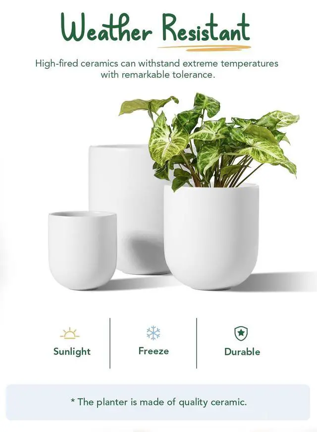 Alt view image 5 of 6 - 6+8+10 Inch Ceramic Pots for Plants, Plant Pots Indoor with Drainage Hole and Plug, Planter Pots for Home Office Room Patio, Set of 3, White