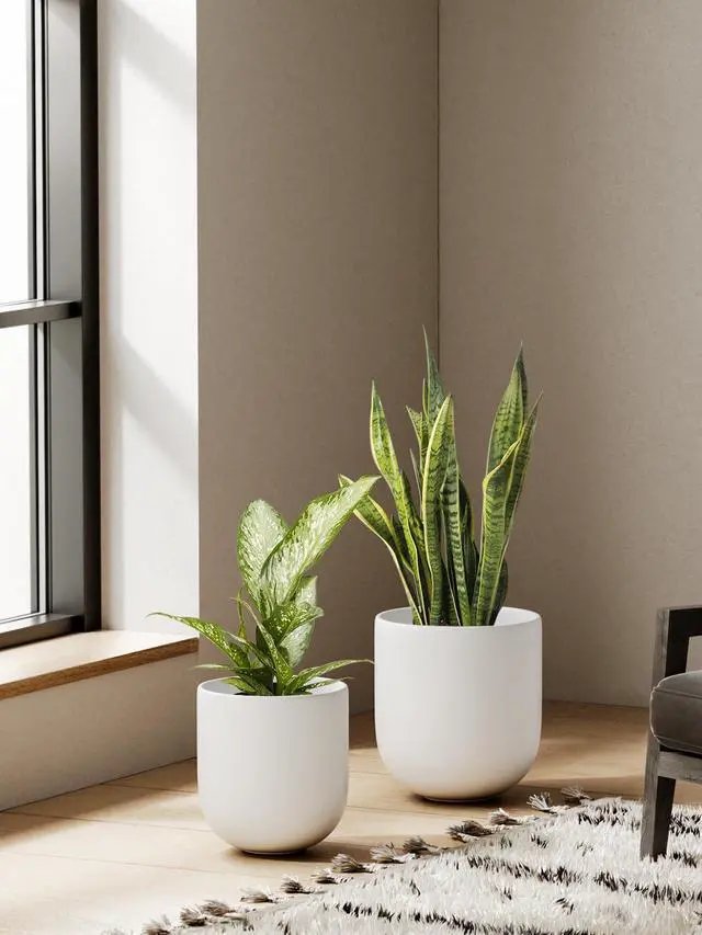 Alt view image 6 of 6 - 6+8+10 Inch Ceramic Pots for Plants, Plant Pots Indoor with Drainage Hole and Plug, Planter Pots for Home Office Room Patio, Set of 3, White