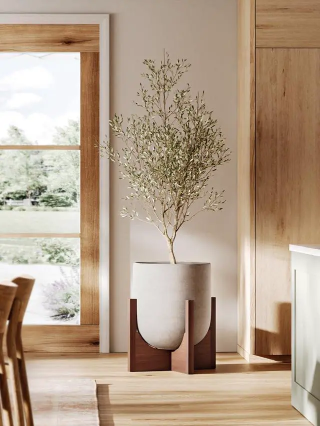 Alt view image 6 of 7 - 12 Inch Plant Pot with Acacia Wood Stand, Ceramic Large Planters for Indoor Plants, Indoor Pots for Plants Office Living Room, Cylinder Planter with Drainage Hole and Plug, Neutral Gray
