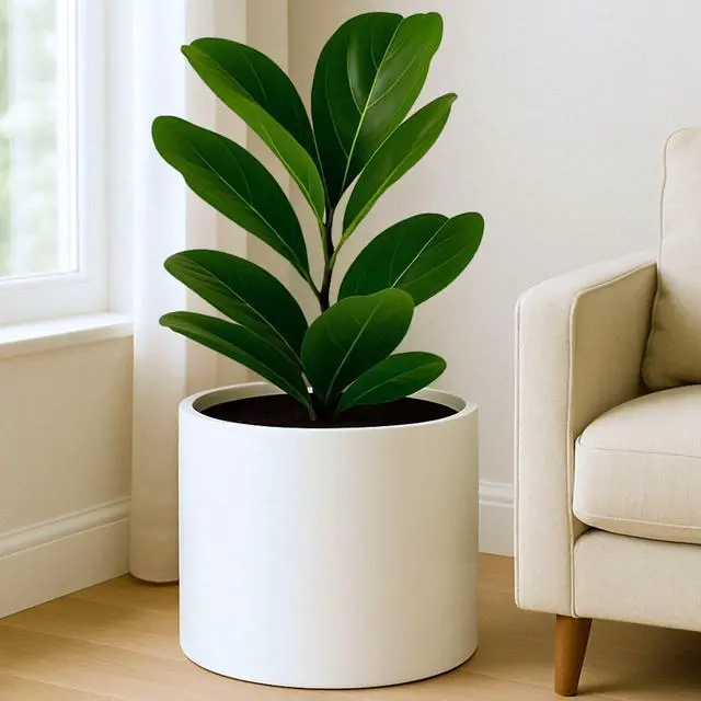 Main image of Large Indoor Planter, Modern Large Plant Pot for Indoor or Outdoor, UV and Frost Resistant - 14.6 Inch, Fiberstone, Matte White Flower Pot with Drainage Plug, Lightweight