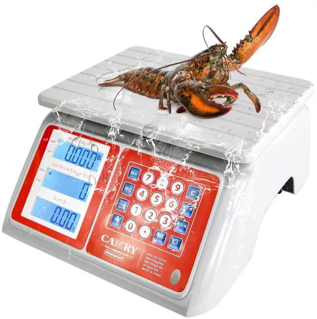 Main image of Waterproof Commercial Food Scale, 66lb/30kg, Price Computing