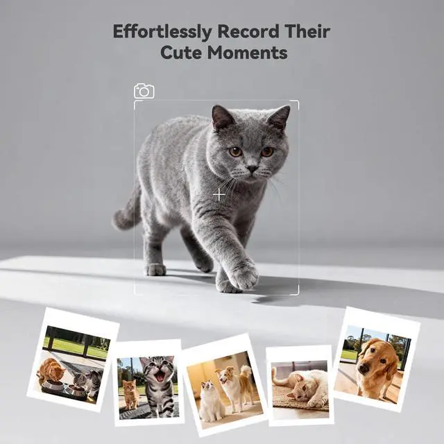 Alt view image 6 of 7 - Automatic Dog Feeder with Camera,1080P HD Video with Night Vision, 5GHz/2.4GHz Dog Food Dispenser with App Control, 4GB SD Card, 2-Way Audio for Cats & Dogs