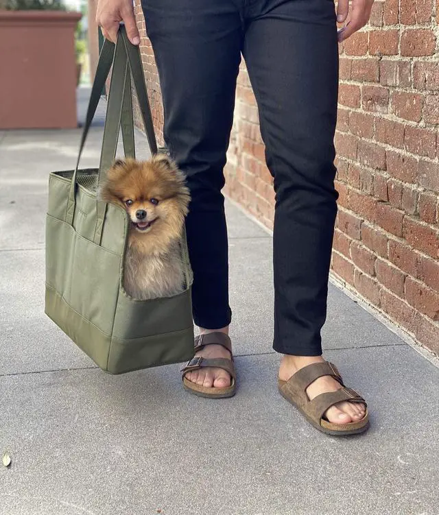Alt view image 7 of 7 - OSKAR & FRIENDS Pet Carrier Tote Bag for Small Dogs & Cats Fully Closable Mesh, Vegan Leather, Sherpa Pad Stylish Dog Purse Carrier for Pets Up to 20 lbs