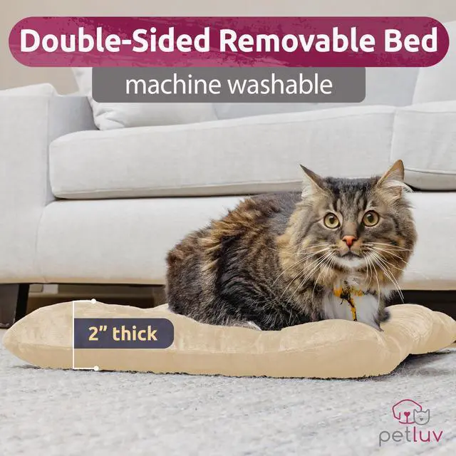 Alt view image 7 of 7 - Cat & Dog Pet Carrier, Soft-Sided, Large 24"x16"x16", Fits Large Cat, 2 Cats, or Medium Dog Comfortably, Great for Travel & Vet Visits, Privacy Windows, Removable Bed, Locking Zippers, Foldable